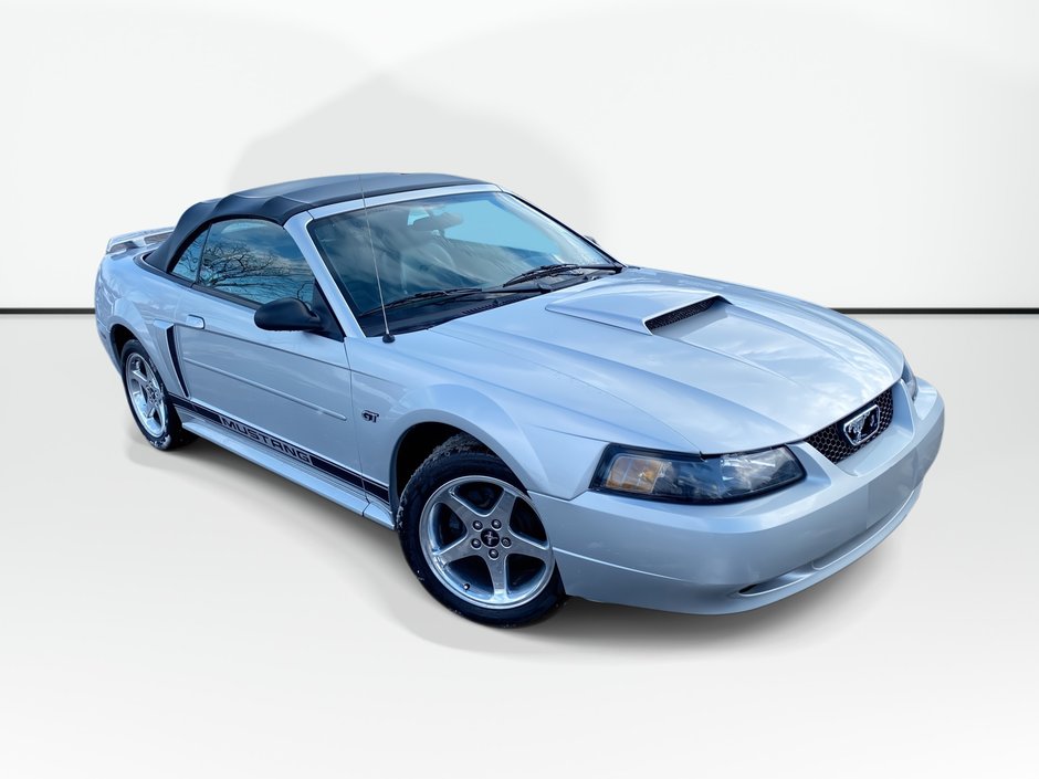2003 Ford MUSTANG GT | Convertible | Leather | A/C | in Saint John, New Brunswick