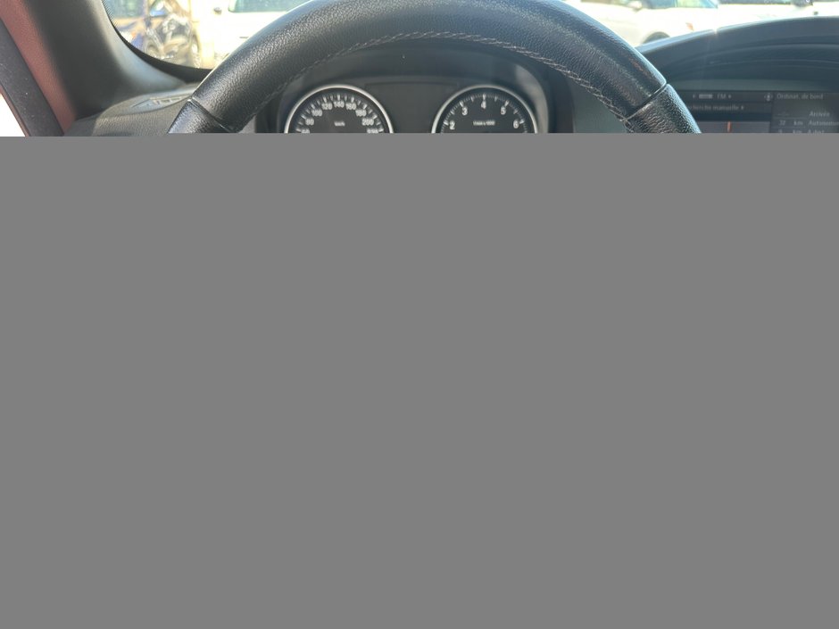 2008 BMW 3 Series 335i-11
