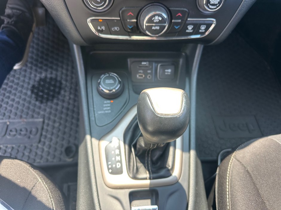Jeep Cherokee North 2015-16
