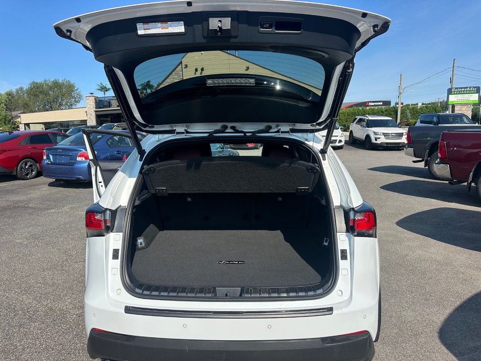 2017 Lexus NX 200t-23