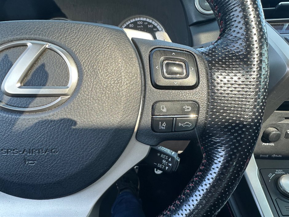 2017 Lexus NX 200t-13