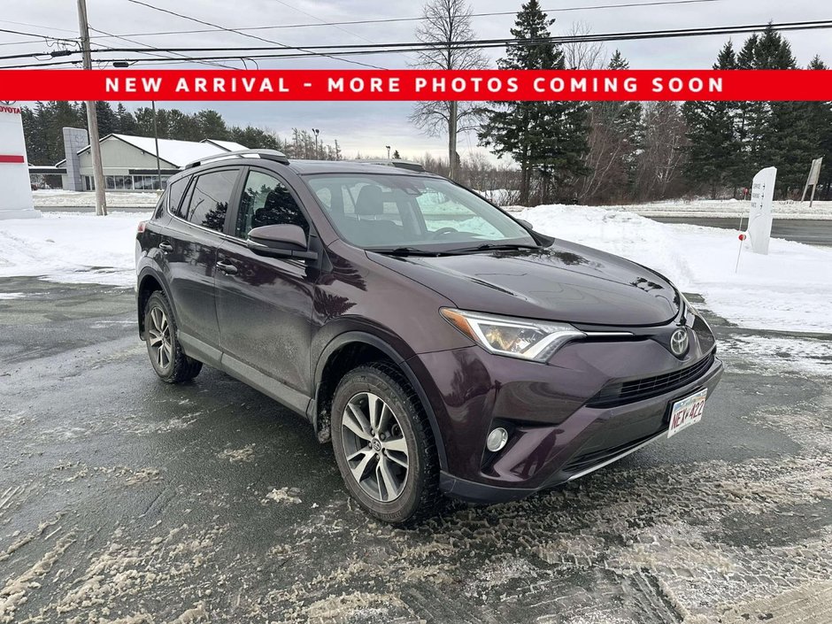 RAV4 XLE 2017 à Miramichi, Nouveau-Brunswick