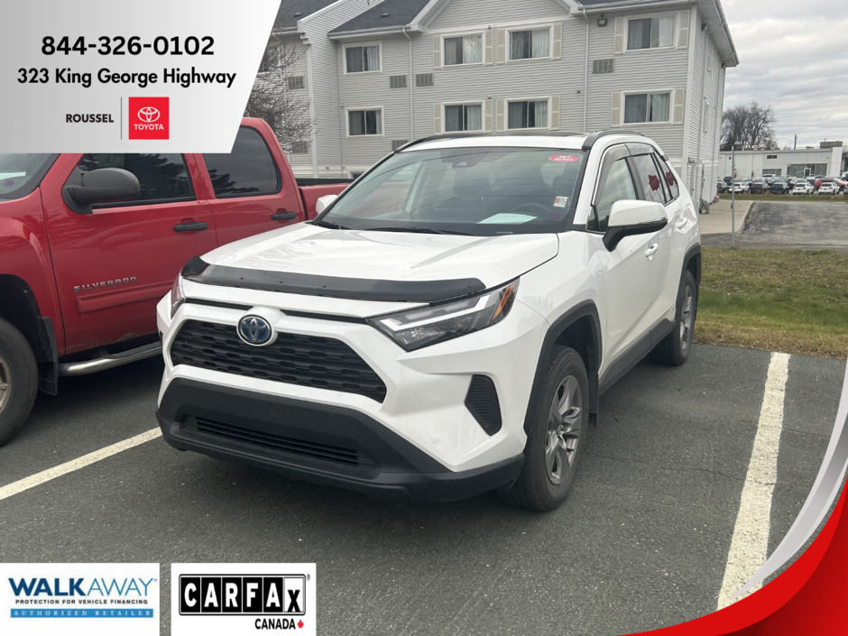 RAV4 Hybrid XLE 2024 à Miramichi, Nouveau-Brunswick