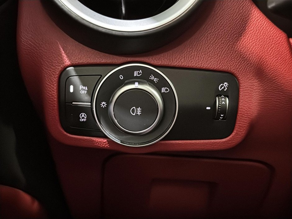 Alfa Romeo Stelvio Q4 TOIT PANO CUIR ROUGE CARPLAY GPS 2020-36
