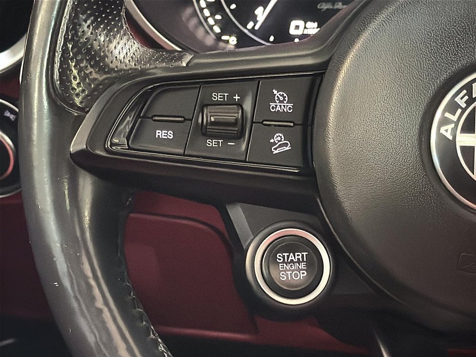 Alfa Romeo Stelvio Q4 TOIT PANO CUIR ROUGE CARPLAY GPS 2020-33