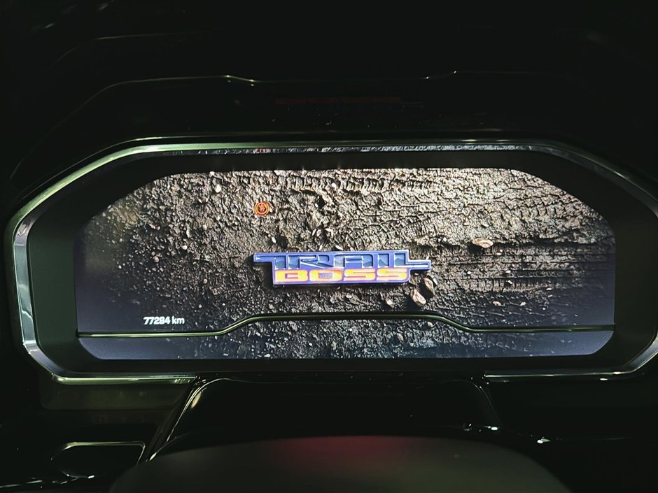Chevrolet Silverado 1500 LT TRAIL BOSS ZZ1 GPS CARPLAY ACCES SANS CLE 2022-29