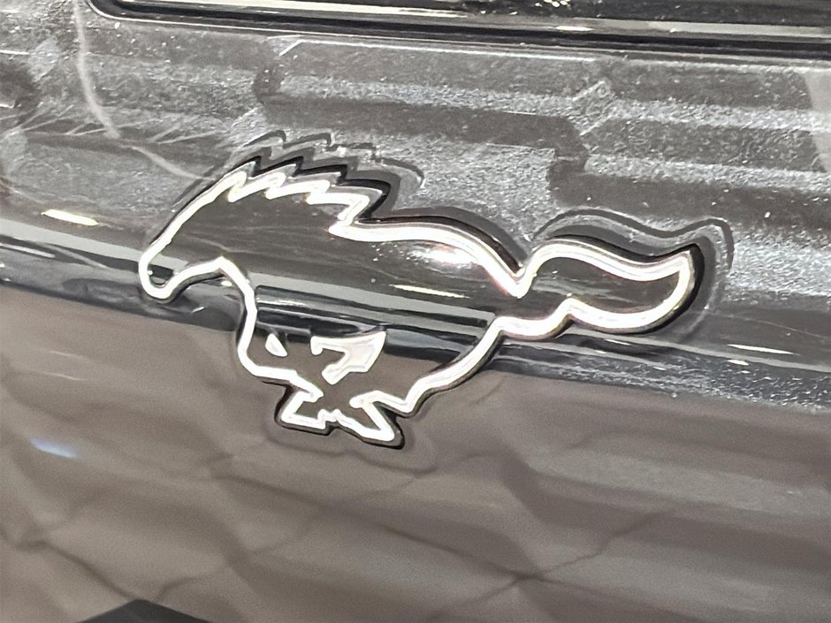 Ford Mustang Mach-E GT PERFORMANCE CUIR CHAUFFANTS GPS BANG & OLUFSEN 2022-11