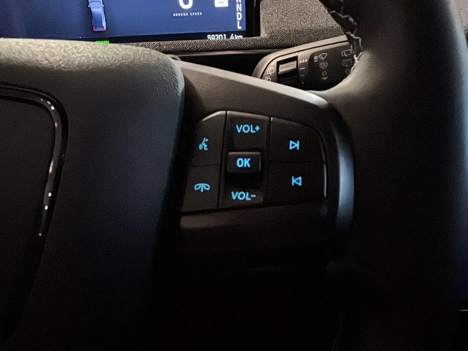 Ford Mustang Mach-E GT PERFORMANCE CUIR CHAUFFANTS GPS BANG & OLUFSEN 2022-28