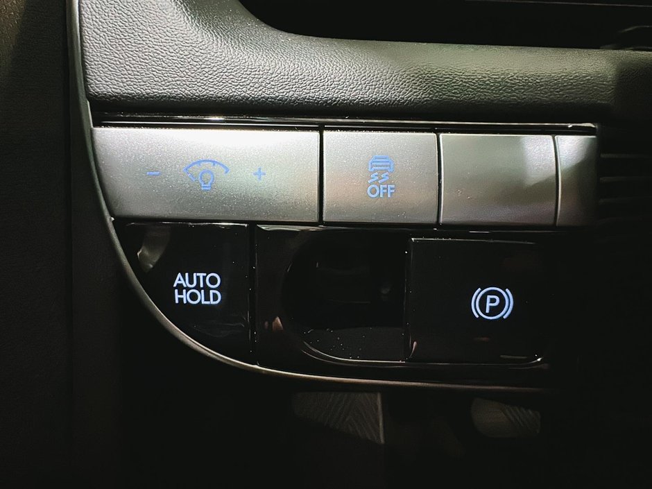 Hyundai IONIQ 5 PREFERRED  LONG RANGE GPS CARPLAY BLUELINK MAGS 2024-30