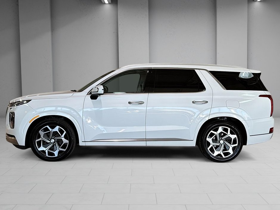 Hyundai Palisade Ultimate Calligraphy 2022-2