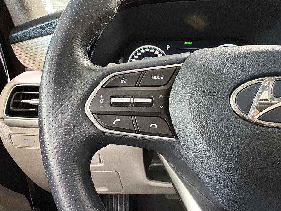 Hyundai Palisade Ultimate Calligraphy 2022-28