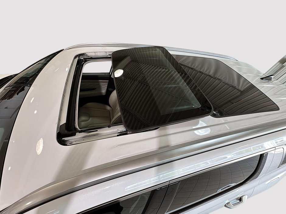 Hyundai Palisade Ultimate Calligraphy 2022-4
