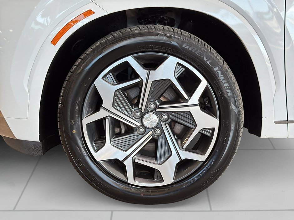 Hyundai Palisade Ultimate Calligraphy 2022-3