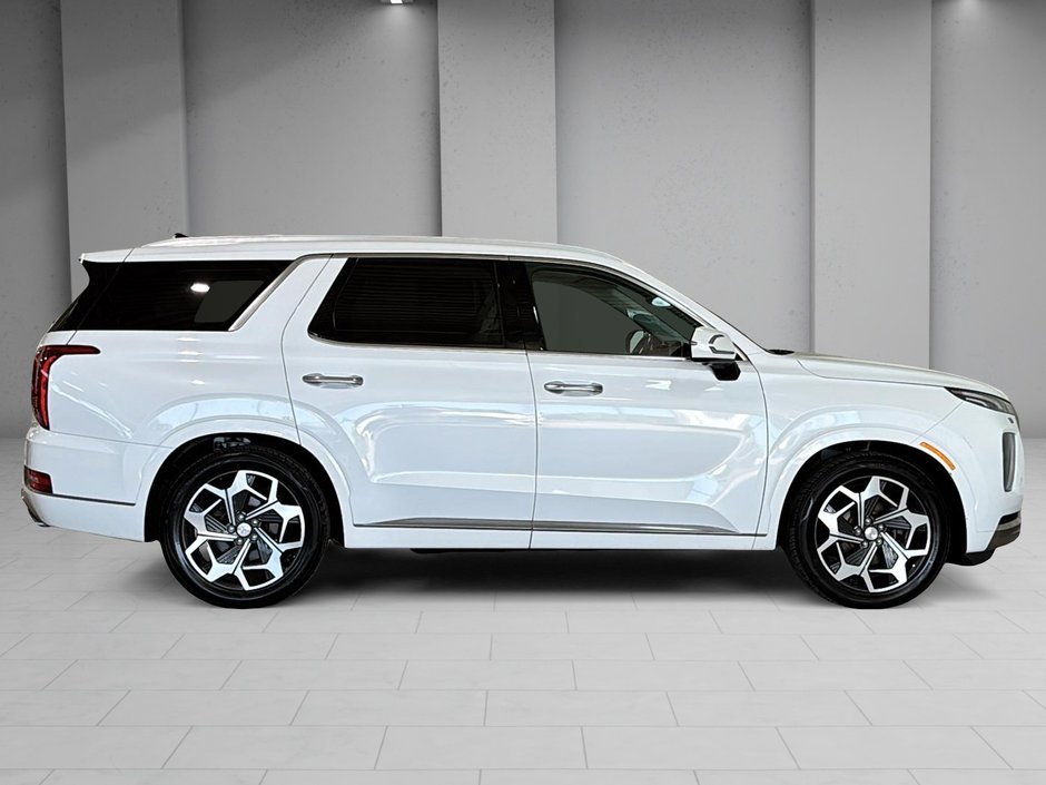Hyundai Palisade Ultimate Calligraphy 2022-10