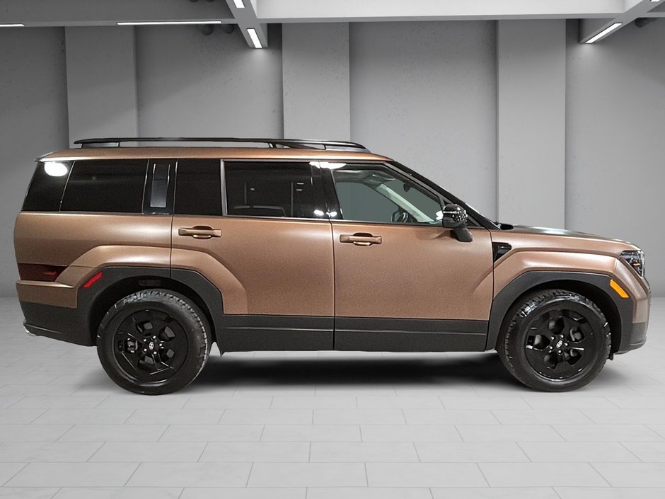 Hyundai Santa Fe XRT AWD TOIT OUVRANT CUIR CAMERA BLUELINK MAGS 2024-10