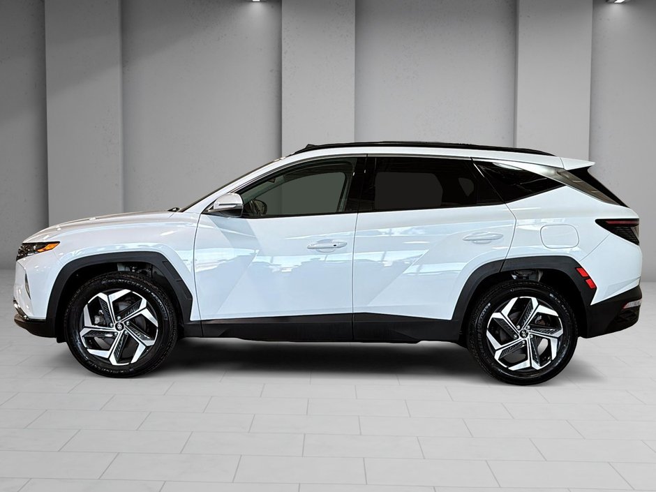 Hyundai Tucson Hybrid LUXURY HYBRID CUIR TOIT PANORAMIQUE BOSE 2024-8