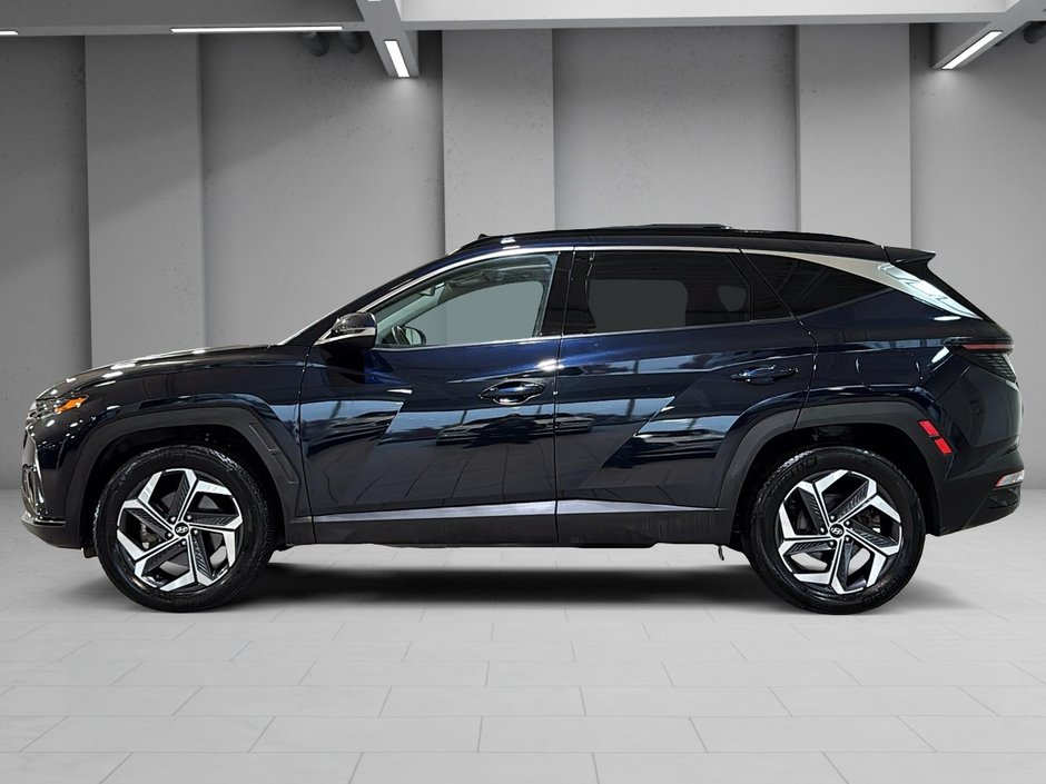 Hyundai Tucson Hybrid LUXURY AWD CUIR BOSE TOIT PANORAMIQUE GPS 2024-8