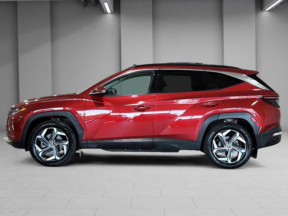 Hyundai Tucson Plug-In Hybrid BAS KM ULTIMATE PLUG-IN AWD TOIT PANO GPS CUIR CAM 2024-8