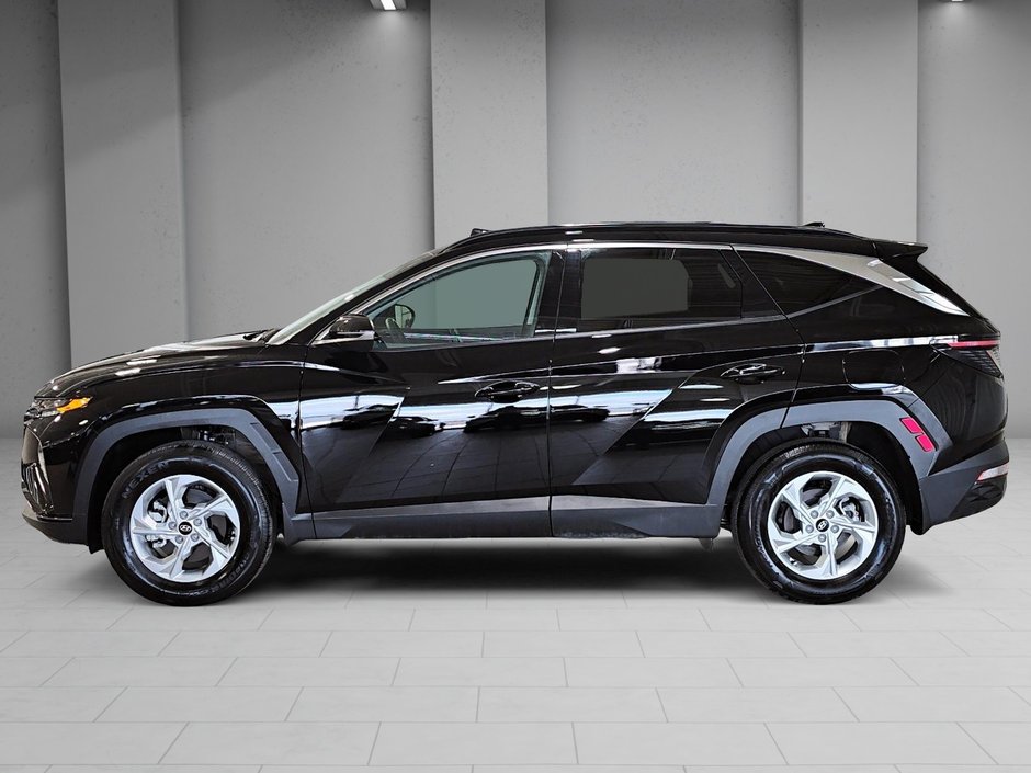 Hyundai Tucson TREND AWD TOIT PANORAMIQUE CUIR BLUELINK 2024-3