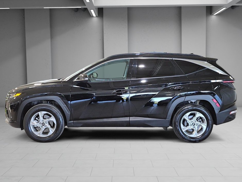 Hyundai Tucson PREFERRED TREND AWD TOIT PANORAMIQUE CUIR BLUELINK 2024-13