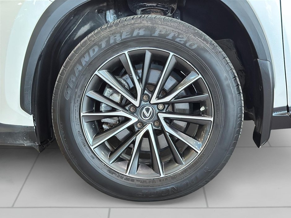 Lexus NX 250 CUIR SIEGES ELECTRIQUES GPS CAM 2022-3
