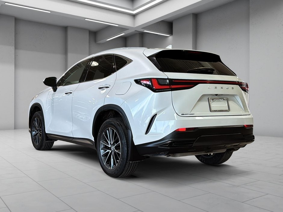 Lexus NX 250 CUIR SIEGES ELECTRIQUES GPS CAM 2022-4