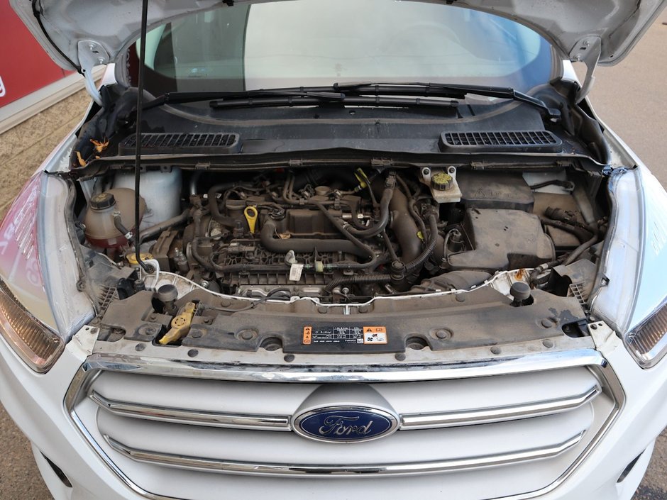 2019 Ford Escape SE IN WHITE EQUIPPED WITH A 1.5L TURBO I4 , 4X4 , 6SPD AUTO , CLOTH HEATED SEATS , DUAL ZONE AC , CRUISE , BACKUP CAM , SW CONTR-25