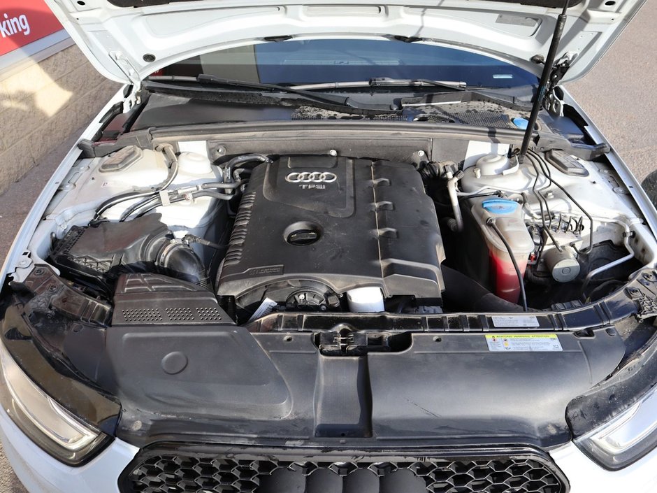 2016 Audi A4 PROGRESSIV PLUS IN WHITE EQUIPPED WITH A 2.0L TURBO I4 , QUATTRO AWD , 8SPD AUTO , LEATHER HEATED SEATS , SUNROOF , PREMIUM AUDI-27