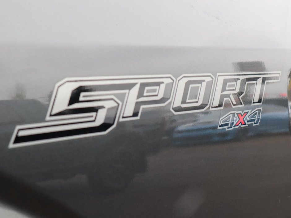 2017 Ford F-150 LARIAT IN GREY EQUIPPED WITH A 3.5L ECOBOOST V6 , 4X4 , 10SPD AUTO , AMBIENT LIGHTING , DUAL ZONE AC , REMOTE START , BACKUP CAM-13