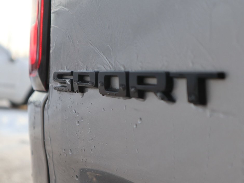 2020 Ram 1500 SPORT IN BILLET METALLIC EQUIPPED WITH A 5.7L HEMI V8 , 4X4 , 8SPD AUTO , 22INCH RIMS , SPORT HOOD , PWR RUNNING BOARDS , 125L T-14