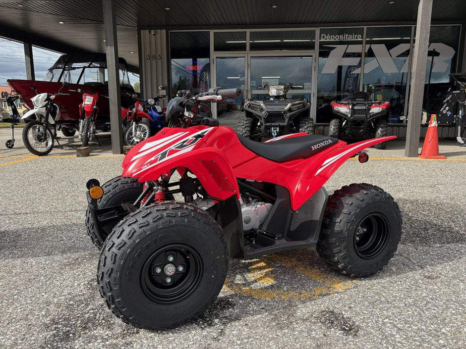 2025 Honda TRX90X