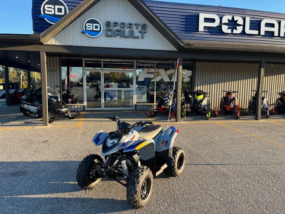 2025 Polaris Phoenix 200