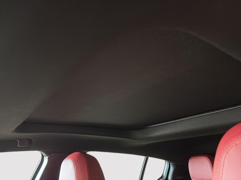 Dodge Hornet PHEV R/T PLUS 2024-13