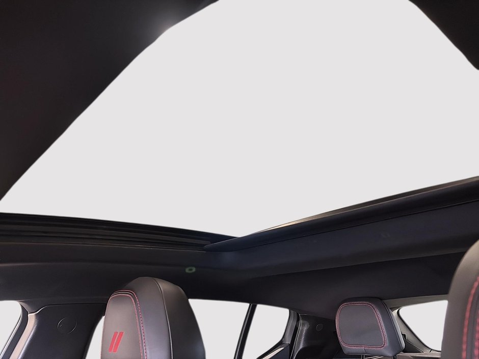 Dodge Hornet PHEV R/T PLUS 2024-13