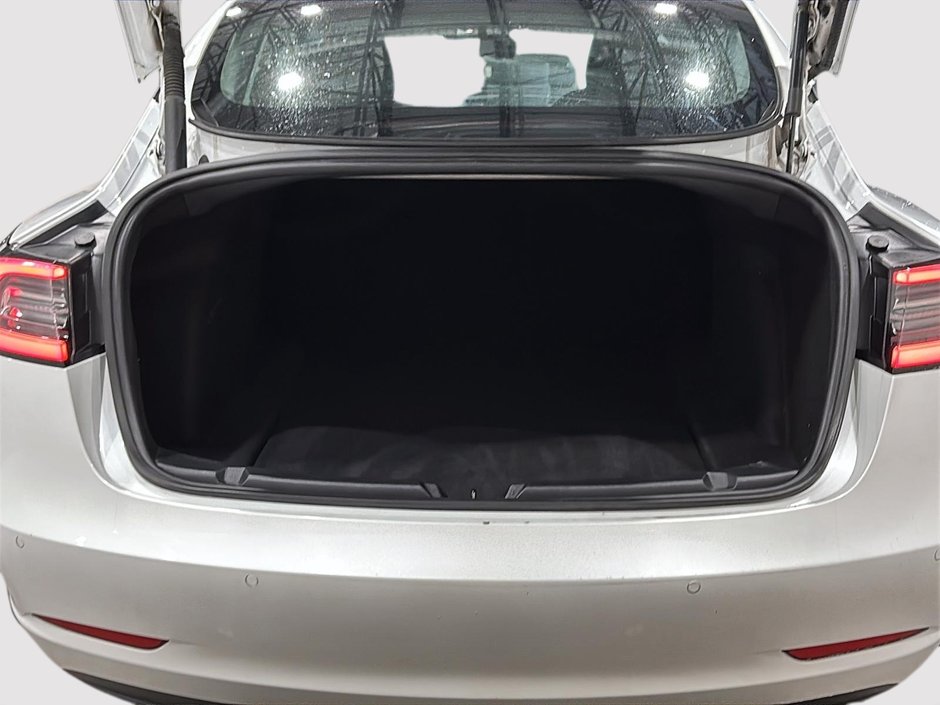 Tesla MODEL 3 Standard Range Plus 2021-4