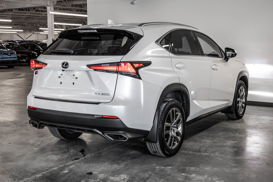 2020 Lexus NX 300-7