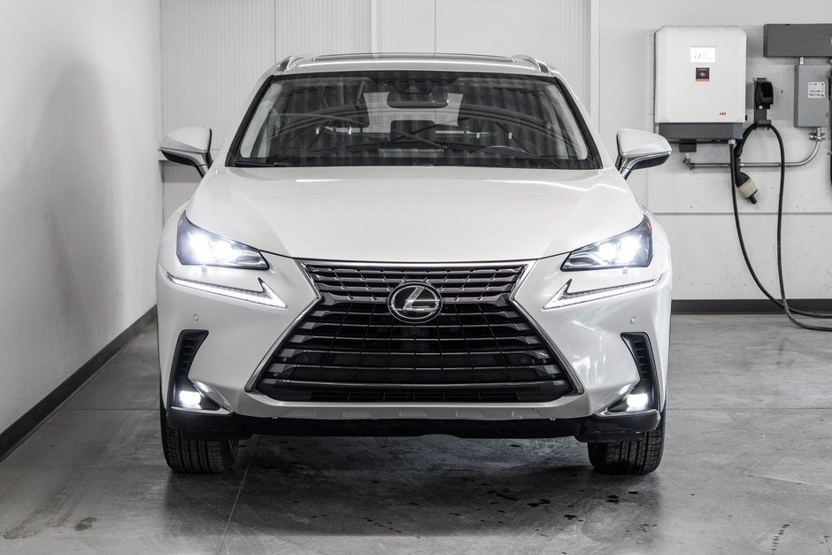2020 Lexus NX 300-1