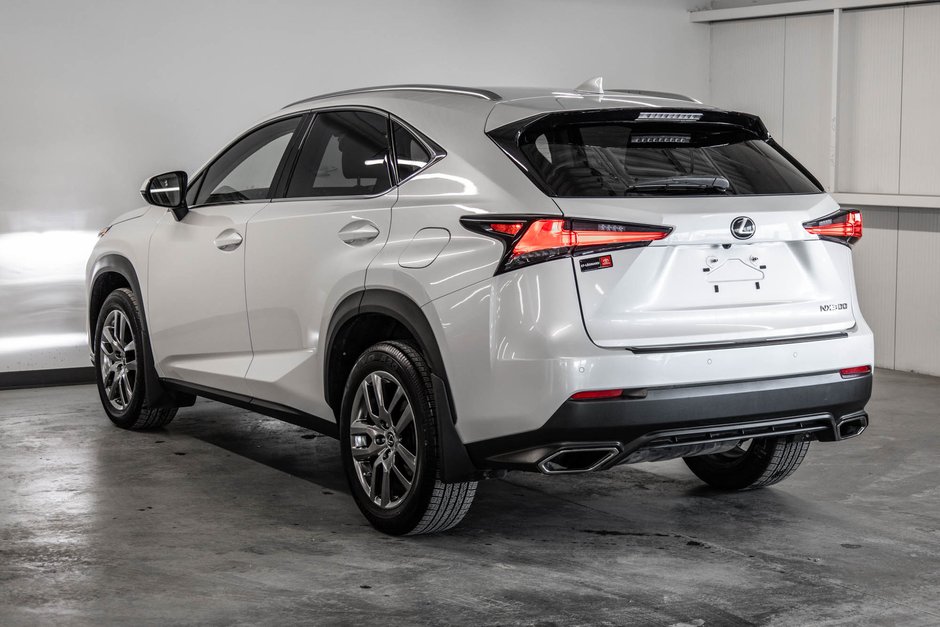 2020 Lexus NX 300-5