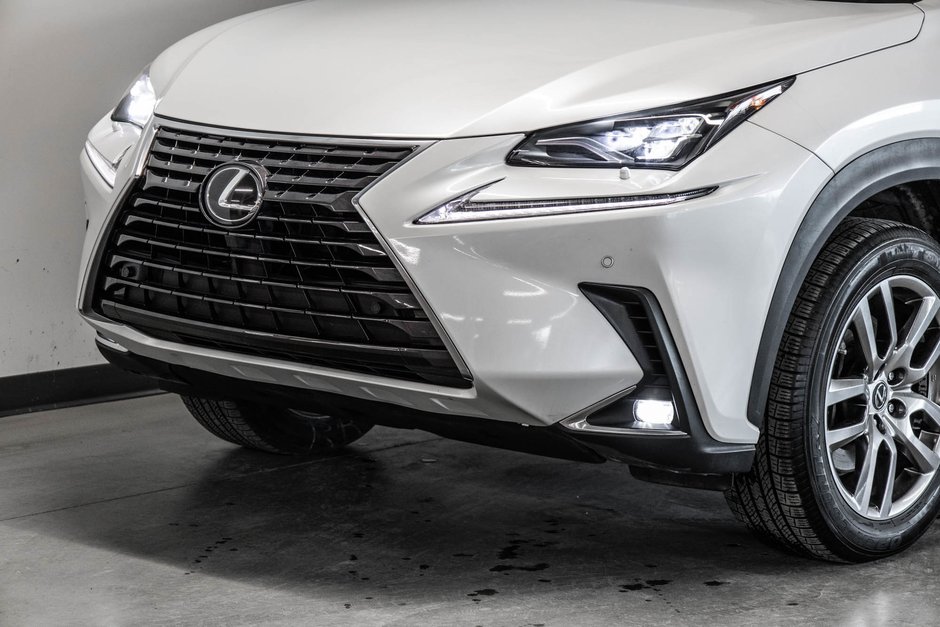 2020 Lexus NX 300-2