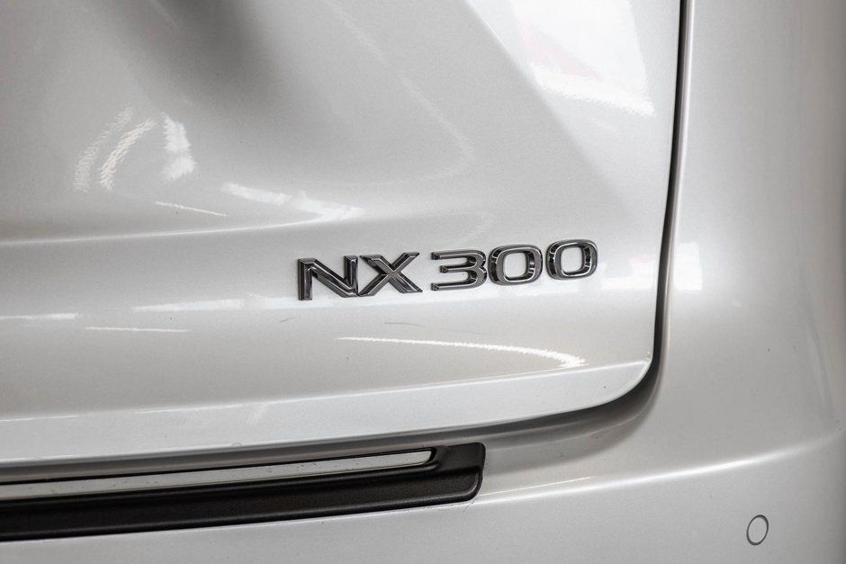 2020 Lexus NX 300-8