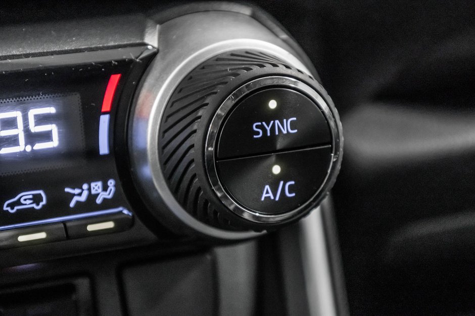 2019 Toyota RAV4 XLE-24