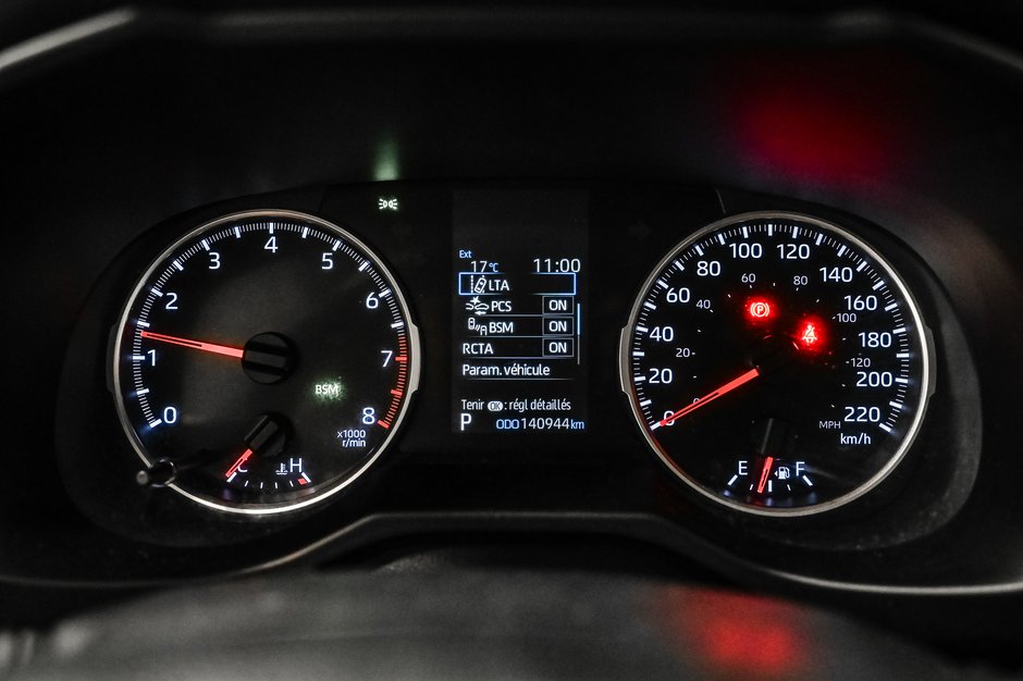 2019 Toyota RAV4 LE-9