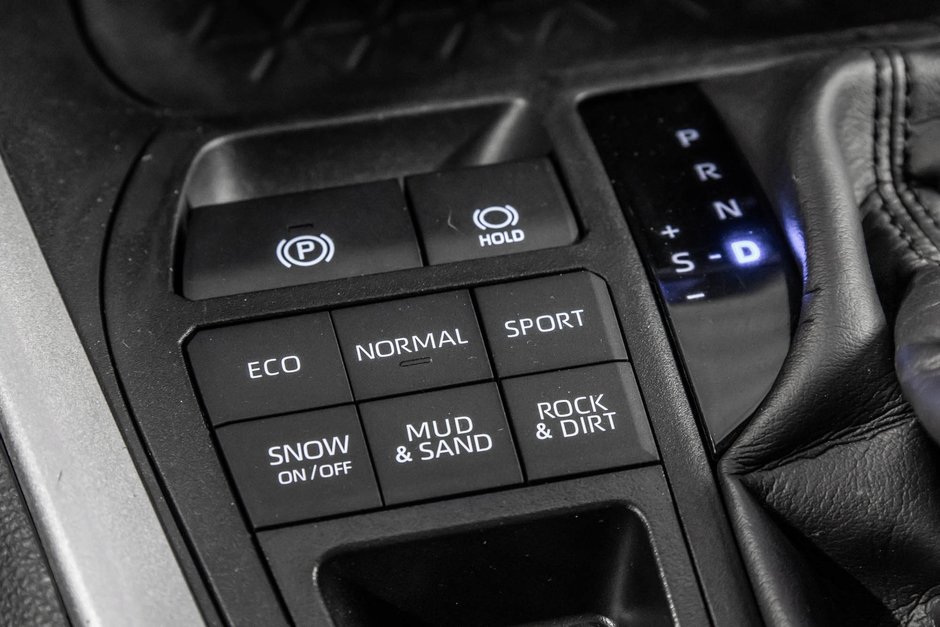2024 Toyota RAV4 LE-21