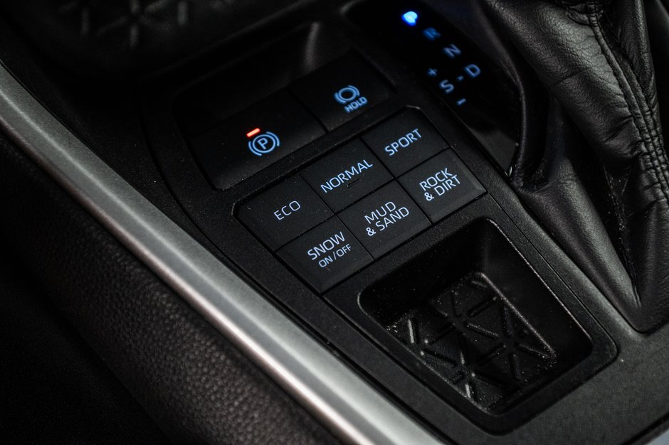 2024 Toyota RAV4 LE-23