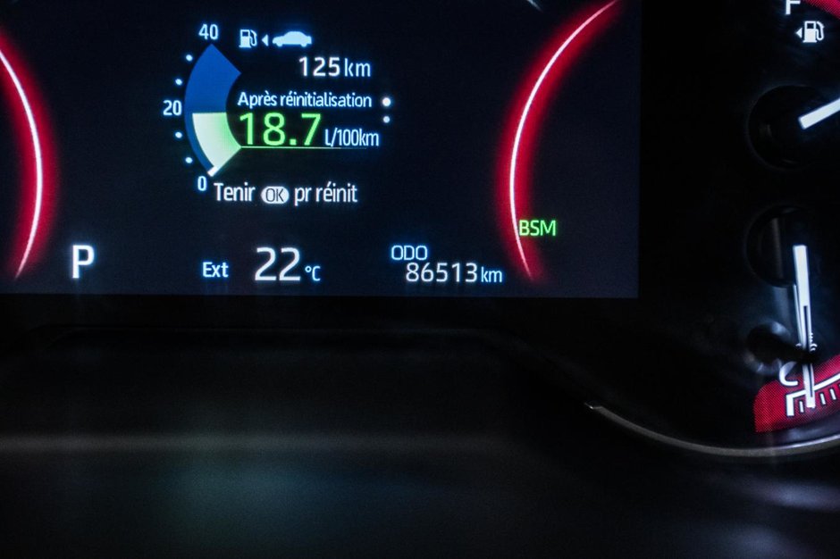 Toyota RAV4 LE 2023-17