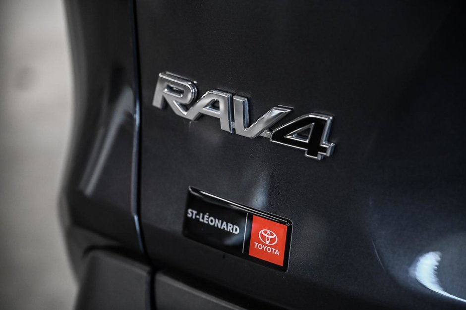 Toyota RAV4 LE 2024-7