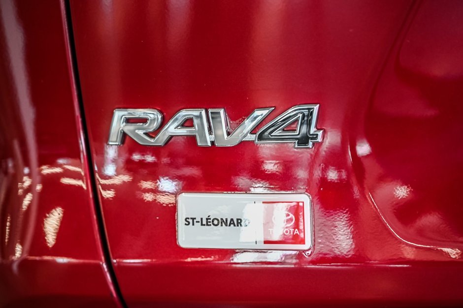 2025 Toyota RAV4 XLE-7