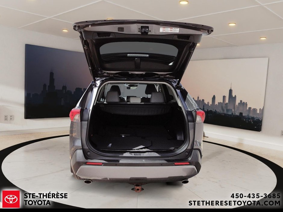 2020 Toyota RAV4 Limited-6