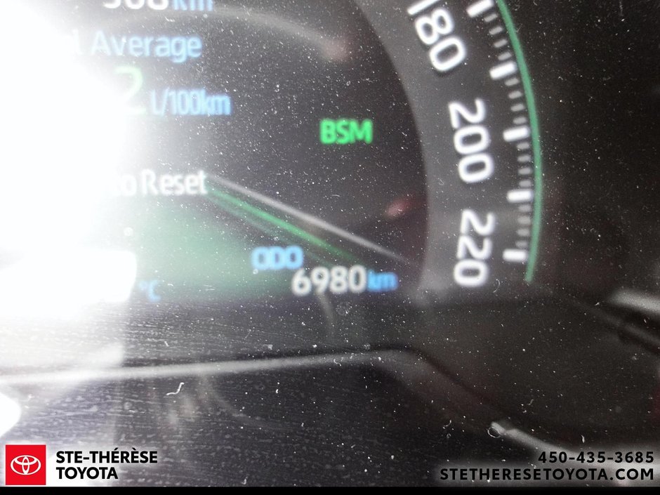 2025 Toyota RAV4 LE AWD-19