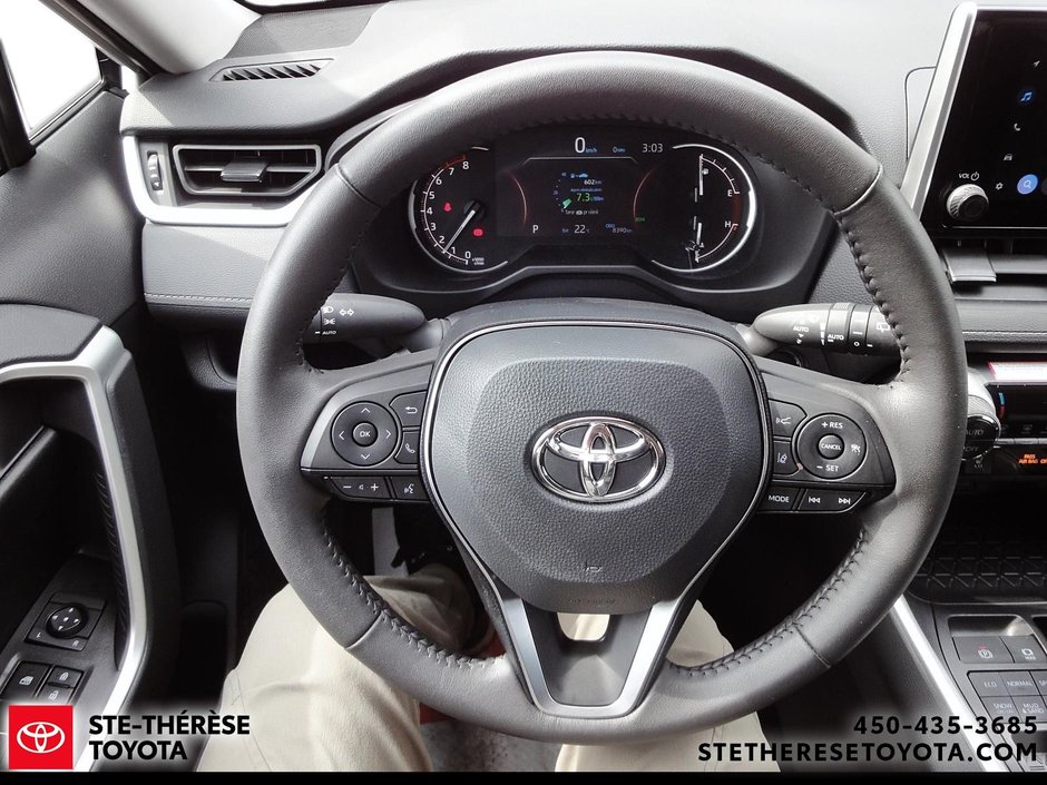 2025 Toyota RAV4 XLE-14